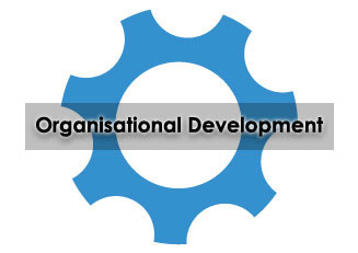 ThinkHR, Organisational Development