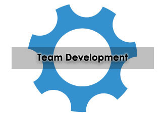 ThinkHR, Team Development